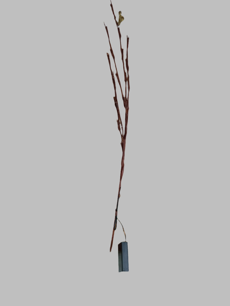 Branch Lights OhhMy! Gifts and Things, LLC