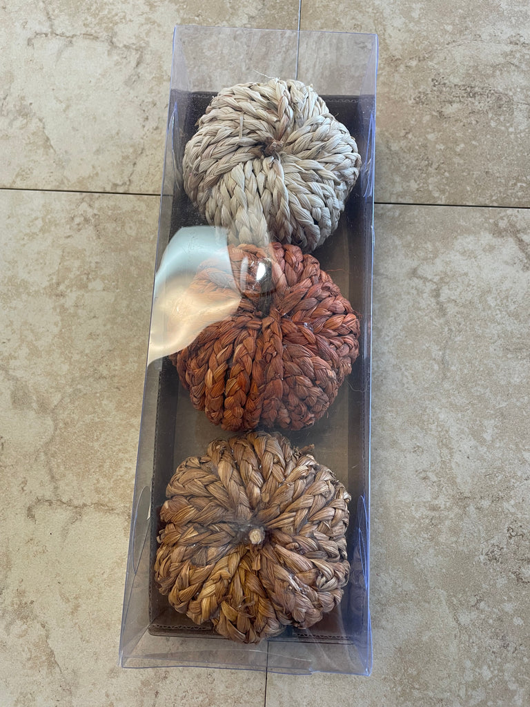 Pumkin Home Decor set of 3