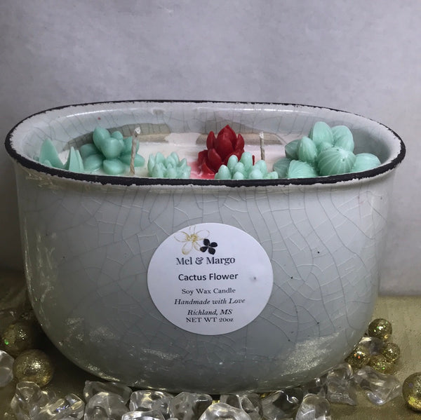 Assorted Soy Candles-Cactus Flower