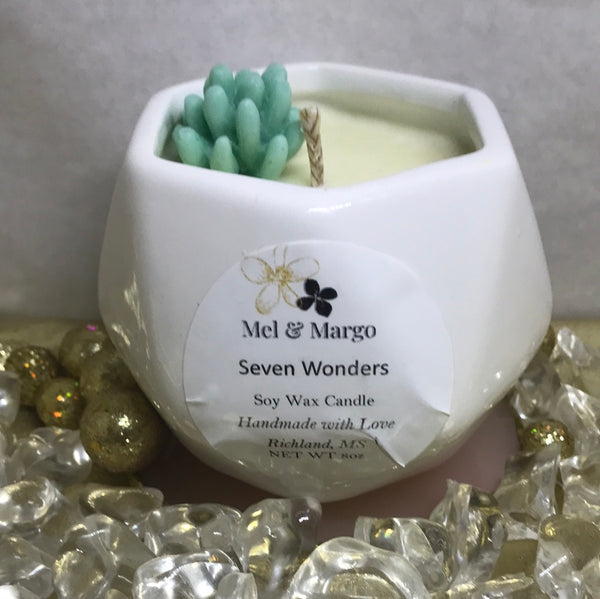 Assorted Soy Candles-8 oz-Seven Wonders  