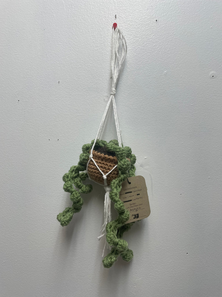 Hand crafted 13"crotchet Hanging succelent Hannah Bodker