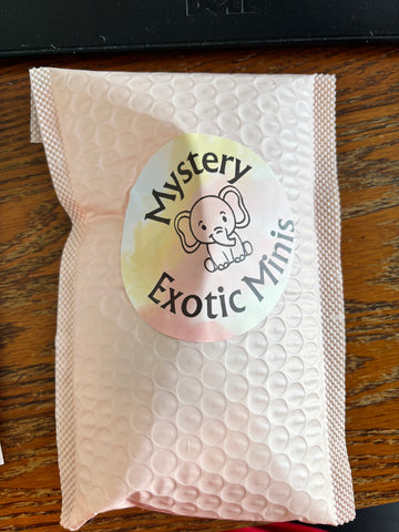 Crocheted Plush small Mystery exotic minis Lauren Pearce