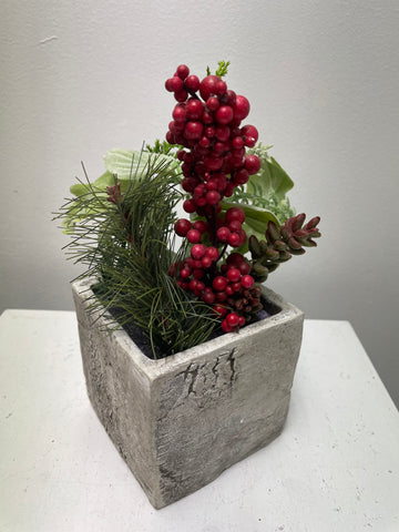 4"x4" Christmas concrete Planter