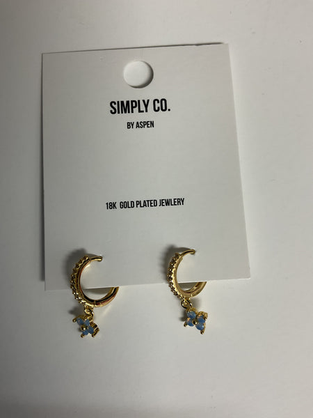 Simply Co. 18K Gold Plated Hoop Earrings w/rhinestones Alisha Groo