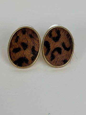 Oval Leopard Studs Courtney Fox