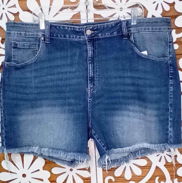 Blue Jean Cut Off Shorts Frayed Hemline