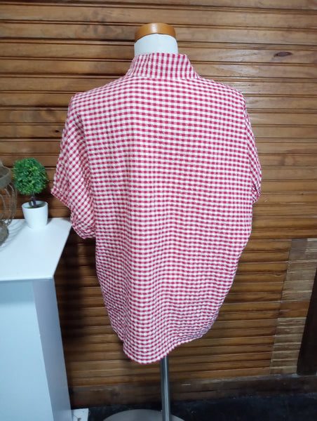 Gingham Red/White V-Neck Checkered Top Amanda Queen