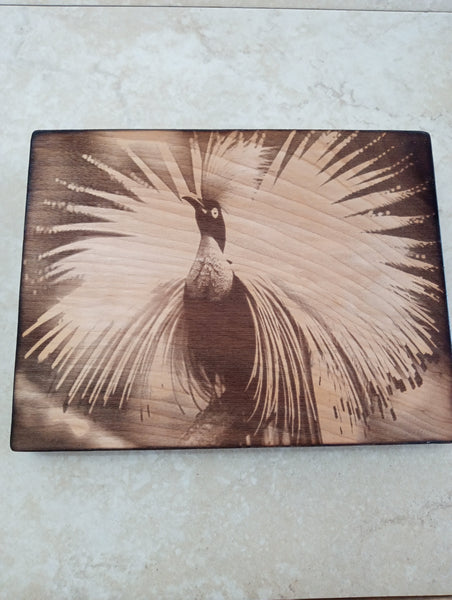 6 1/2" x 8 1/2"Handmade Burnt Wood Lasered Art Shelf Sitter | 9 Styles Rick Dantzler