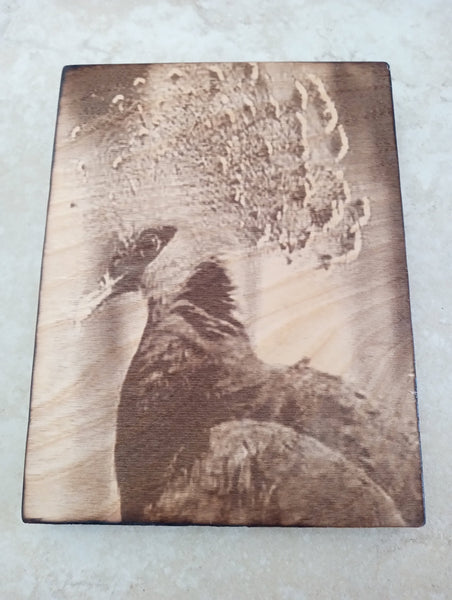 6 1/2" x 8 1/2"Handmade Burnt Wood Lasered Art Shelf Sitter | 9 Styles Rick Dantzler