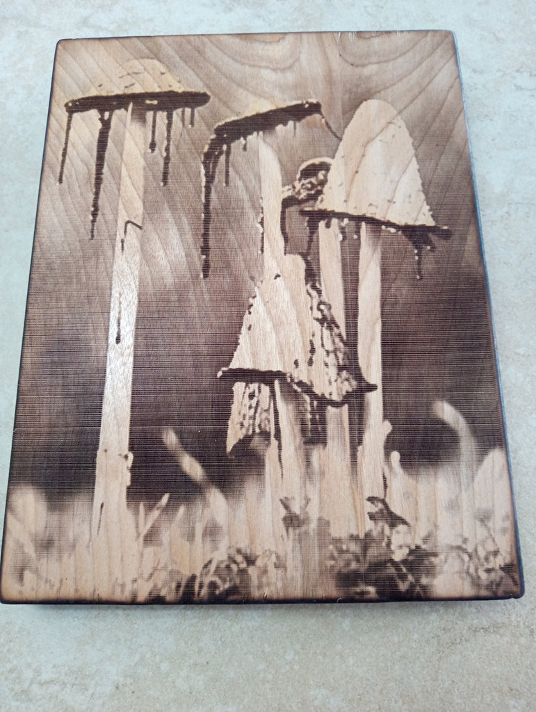 6 1/2" x 8 1/2"Handmade Burnt Wood Lasered Art Shelf Sitter Rick Dantzler