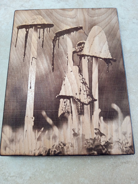 6 1/2" x 8 1/2"Handmade Burnt Wood Lasered Art Shelf Sitter Rick Dantzler