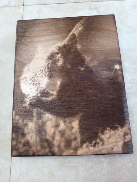 8.5 x 6.5 Wood-Burned Jack-o'-Lantern & Dandelion Art