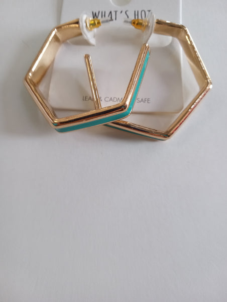 Assorted Teal Earrings