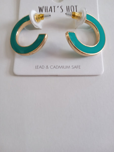 Assorted Teal Earrings