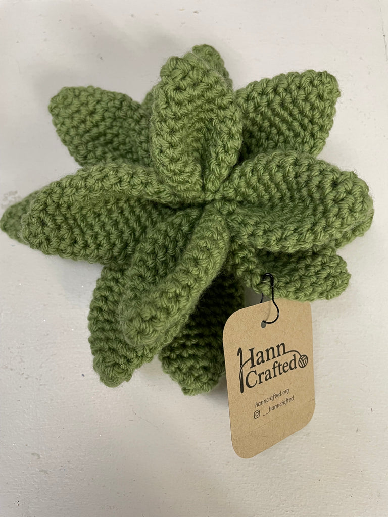 4"White pot w/Hand crafted green succulent OhhMy! Gifts and Things, LLC