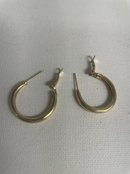 Assorted Gold Hoops-Medium w/clamp