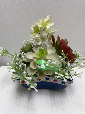 Succulents in Star Dish Home decor