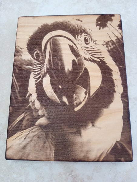 6 1/2" x 8 1/2"Handmade Burnt Wood Lasered Art Shelf Sitter | 9 Styles Rick Dantzler