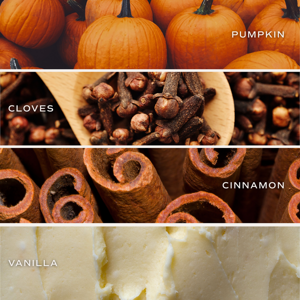 Pumpkin Spice 9 oz Soy Candle - Fall Decor and Gifts Sweet Water Decor