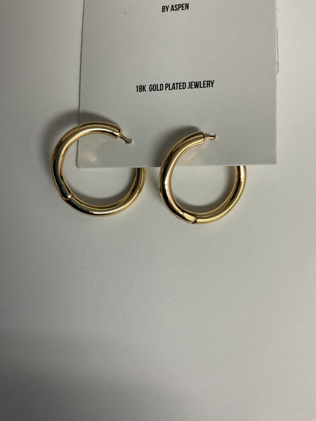 Simply Co. 18K Gold Plated Hoop Earrings Alisha Groo