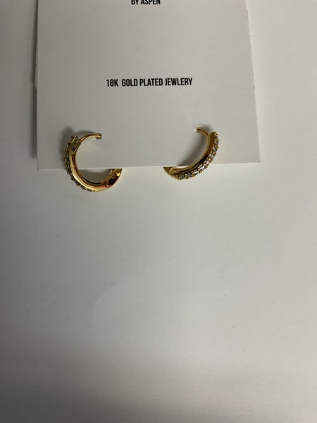Gold hoop earrings 